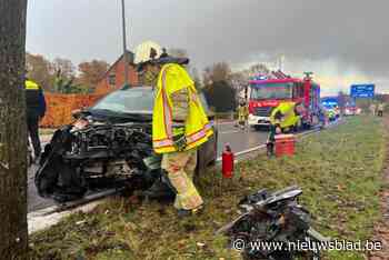 Twee gewonden na zware klap tegen boom in Tessenderlo