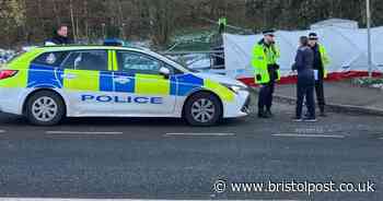 Police rush to scene as 'baby found dead' in field near motorway bridge