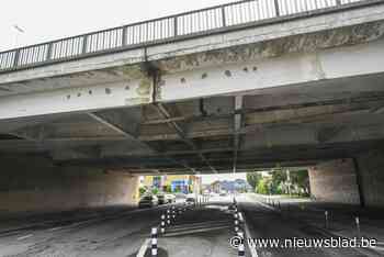 Groen heeft bedenkingen bij plannen nieuwe bruggen E313: “Bomen moeten keer op keer verdwijnen voor grote infrastructuurwerken”