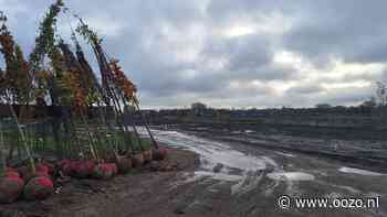Boomfeestdag in Waddinxveen afgelast vanwege de regen