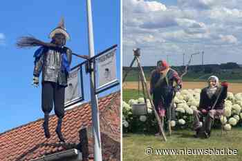 Hét heksendorp van het land wil heel het jaar door heksen op straat: “Als ze maar duurzaam zijn en tegen het weer kunnen”
