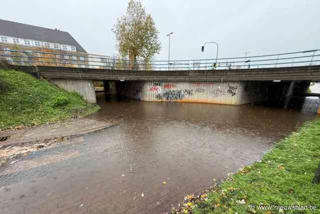 Opnieuw wateroverlast in Limburg, 2024 is het natste jaar ooit: “Dit zou iedereen zorgen moeten baren”