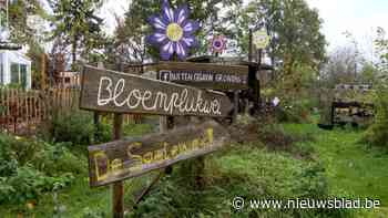 Wilrijkse vzw Buitengewoon Grondig start crowdfunding om een bloemenplukweide te kopen