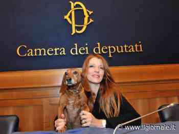 Ok della Camera alla pdl che inasprisce le pene per i reati contro gli animali