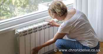 Plumber's three step radiator guide to get them working properly in freezing weather