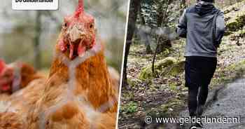 Nieuws van de dag | Ophokplicht in heel Nederland • Hardloper krijgt de schrik van zijn leven