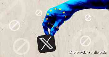 X zerschlagen: EU-Politiker wollen gegen Musk-Netzwerk in den Kampf ziehen