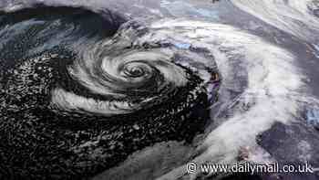 Bomb Cyclone wreaks havoc on Washington residents as driver is hospitalized by falling tree and hundreds of thousands are left without power