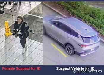 Friend says diamond ring stolen off 85-year-old’s hand at Abbotsford mall