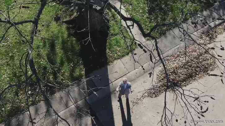 Attack of the trees: Aging giants wreak havoc in Missouri neighborhood