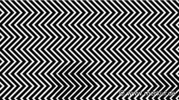 Verborgenes Rätsel in Schwarz-Weiß: Können Sie das Tier in der Illusion ausmachen?