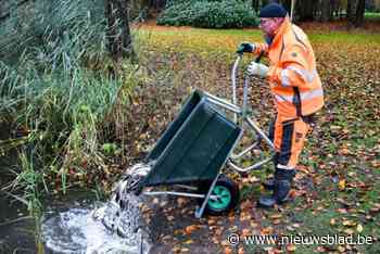 378 kilogram vis uitgezet in visvijver Carons Hofke
