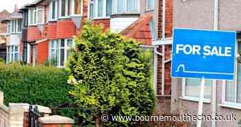 Cost of buying a house in New Forest 'shocking'