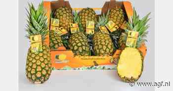 "Ananas wordt een belangrijk product voor kerstvieringen in Oost-Europa"