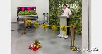 Growy opent vertical farm in Singapore