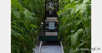 Huisvesting gevonden voor arbeidsmigranten die dakloos dreigden te worden