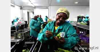 Zuid-Afrikaanse babygroententeler wil exporteren