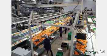 "Staken op dit moment is de markt in handen geven van onze concurrenten"