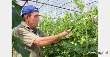 AOW-leeftijd blijft gelijk in 2030: 67 jaar en 3 maanden