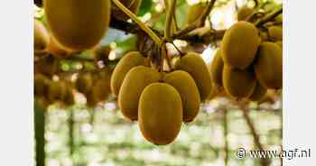 Zespri verhoogt raming kiwi's 2024/25