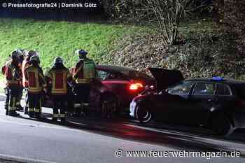 Hasennotbremsung führt zu Auffahrunfall
