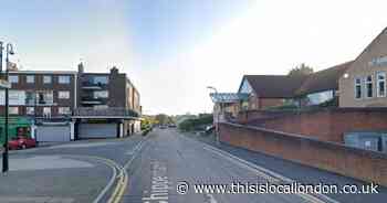 Teens who 'viciously attacked' cat with a catapult in Harold Hill 'need to be caught'