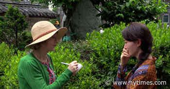 ‘A Traveler’s Needs’ Review: Language Lessons