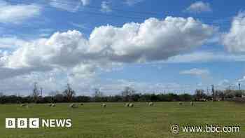 Rejected solar farm plans still on the cards