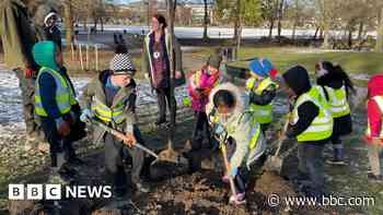 Tramlines Festival pays for park's new trees