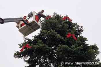 Grote kerstbomen gevonden in zelfde straat in eigen stad: veel goedkoper dan exemplaren uit Ardennen