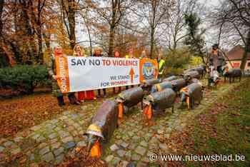 Lier kleurt weldra opnieuw oranje om geweld tegen vrouwen halt toe te roepen