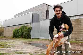 “Hopelijk kunnen we de bladzijde nu omslaan”: 5 meter hoge geluidsmuur tegen hondengeblaf is afgewerkt