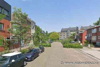 Werken in Vestinglaan kunnen beginnen, volgend bestuur oordeelt over kruispunt met Meerminne