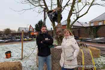 Na ophef over ruiming ruim 1.000 graven is make-over begraafplaats stilaan een feit: “Parkgevoel met veel bomen, natuurweides, wadi’s en wandelpaden”