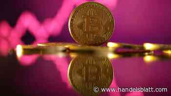 Kryptowährung: Trump treibt Bitcoin in Richtung 100.000 Dollar – wie lange hält die Rally?