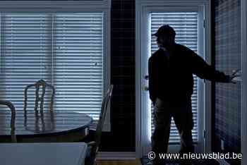 Twee mannen uit Olen krijgen twee jaar cel voor home-invasion in Westerlo