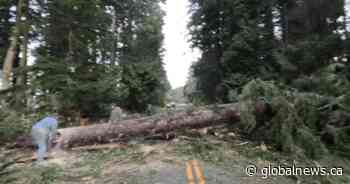 Some Nanaimo schools remain closed due to bomb cyclone damage