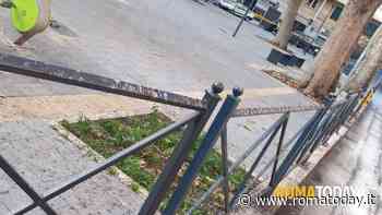 Piazza Scotti ostaggio del guano: "Una latrina per gli uccelli"