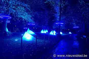 Wintergloed start vrijdagavond: alles wat u moet weten voor een vlot bezoek