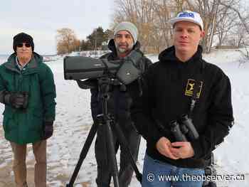 Sarnia earns Bird Friendly City designation from Nature Canada