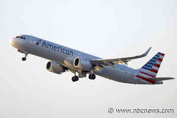 Passengers duct tape man who allegedly tried to open door during American Airlines flight