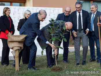 Stati Generali dell'Ambiente e dell'Energia, FdI: "Piantato un albero in memoria di Falcone"