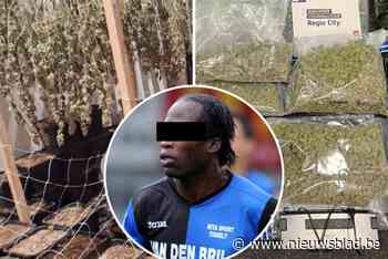 Ex-voetballer met cannabisplantage in Antwerps luxeappartement ontkent drugshandel: vijf jaar cel geëist