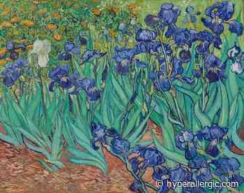 Van Gogh Did Not Intend His Irises To Be Blue