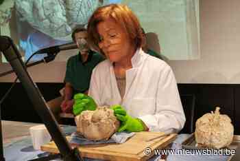 Heb je altijd al eens hersenen in het echt willen zien? Dan ben je komend weekend op dit festival aan het juiste adres