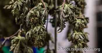 Ken Paxton adds Dallas to list of cities he's sued over marijuana decriminalization