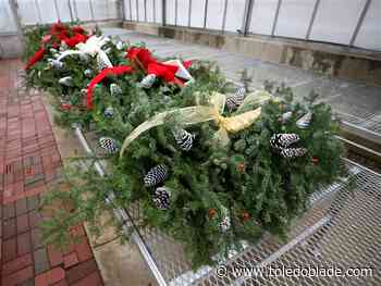 Sylvania students' horticulture lessons about more than farming