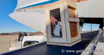 Russische president Poetin haalt banden Noord-Korea verder aan met gift van leeuwen, beren en meer dieren