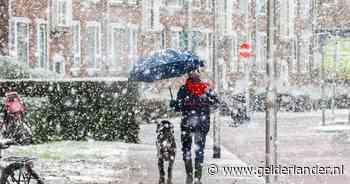 Noorden van ons land kleurt wit: sneeuw zorgt voor pret en ongelukken