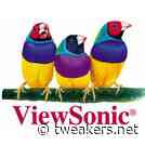 Viewsonic toont matte QD-oledmonitor en Mac-schermen voor beeldbewerking